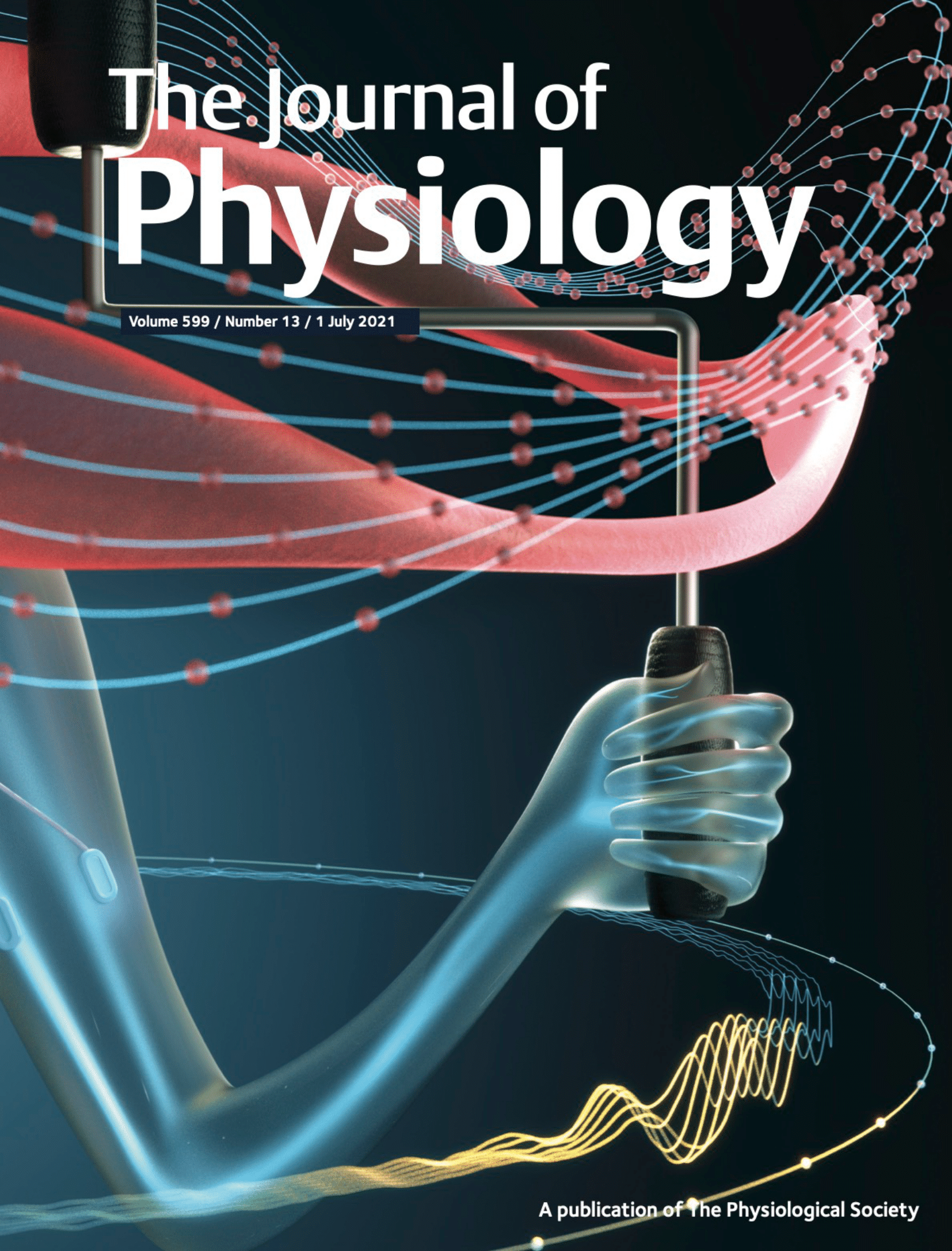 The cover image of the Journal of Physiology from July 2021 that shows a rendering of an arm turning a crank.